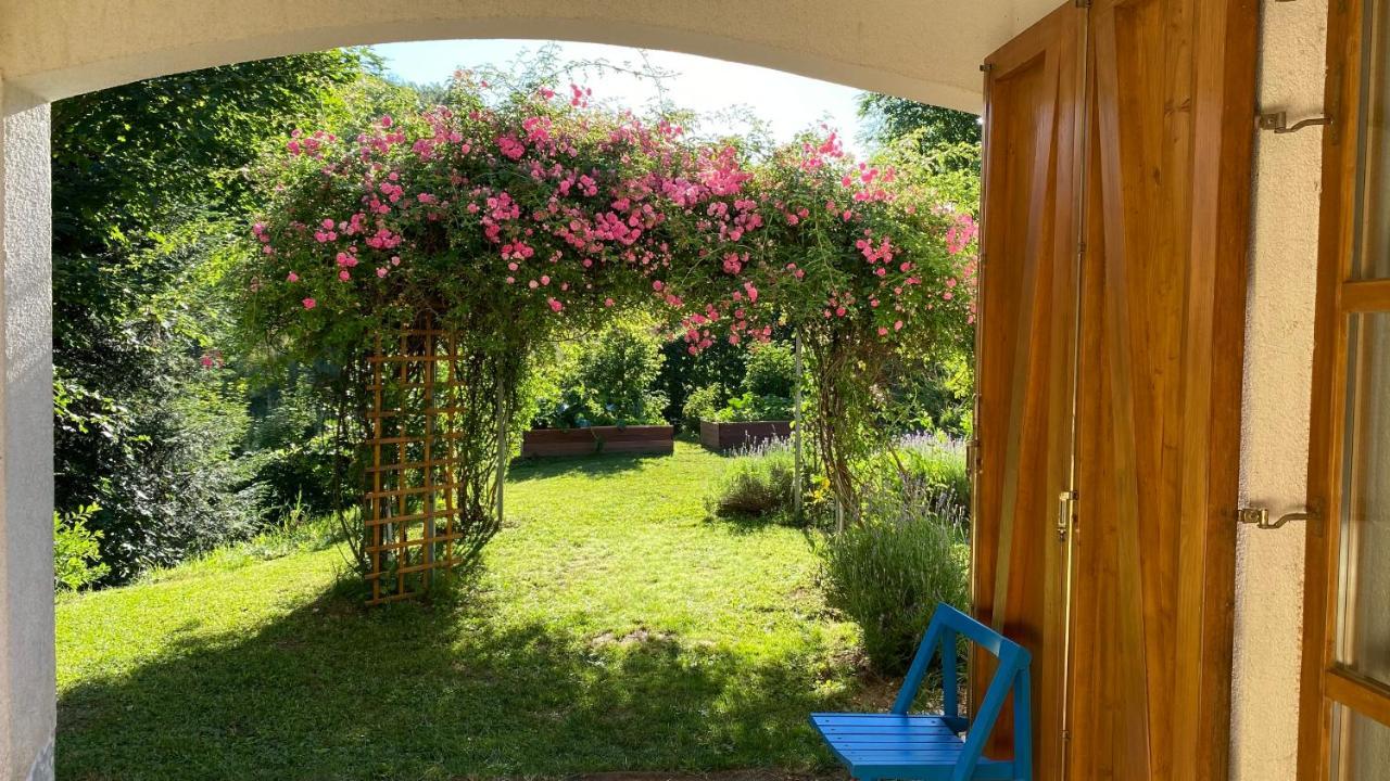 פוז'ינה Apartments Montana מראה חיצוני תמונה